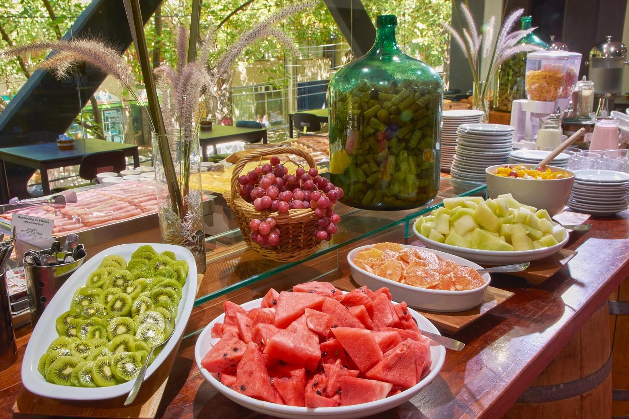 Hotel Raices Aconcagua Mendoza Luaran gambar